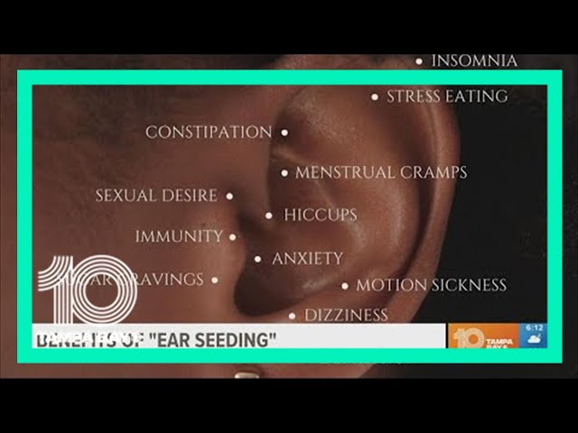 Wake up wellness: Benefits of 'Ear Seeding'