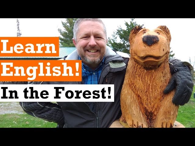 Let's Learn English in the Forest in the Fall (Autumn) | English Video with Subtitles