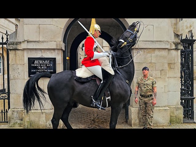 HUGE HORSE QUITS SIX TIMES as POLICE, GUARDS, TROOPER and tourists look on at Horse Guards!