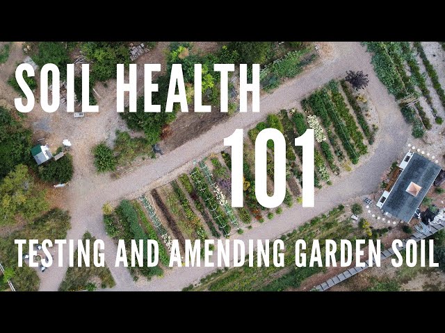 Soil health 101: when to test and amend your garden soil!