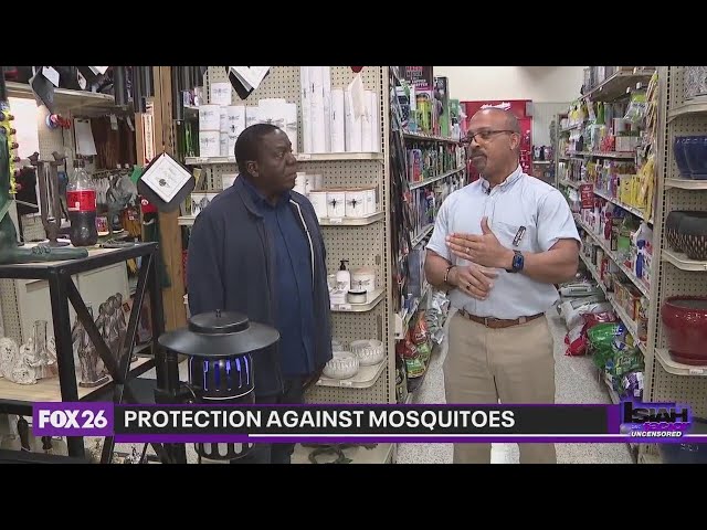 How to keep those pesky mosquitoes away from your home