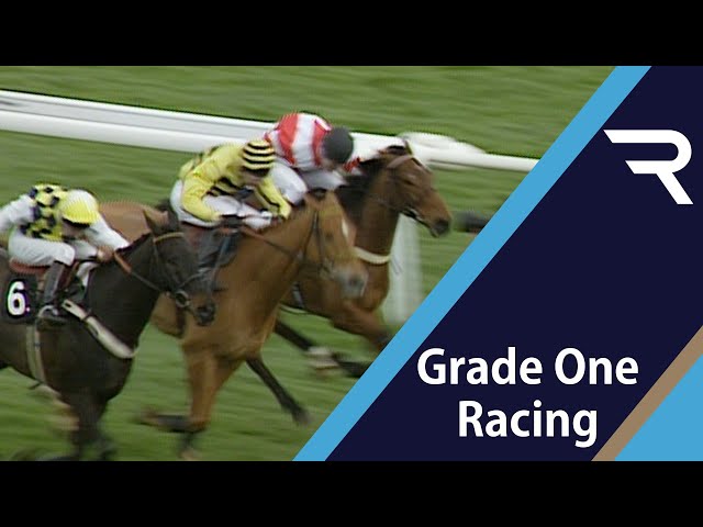 VIKING FLAGSHIP is all heart to win the 1994 Queen Mother Champion Chase - Racing TV