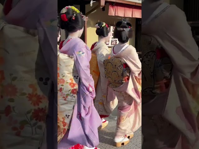 花見小路を往く艶やかな舞妓さんたち #京都 #舞妓