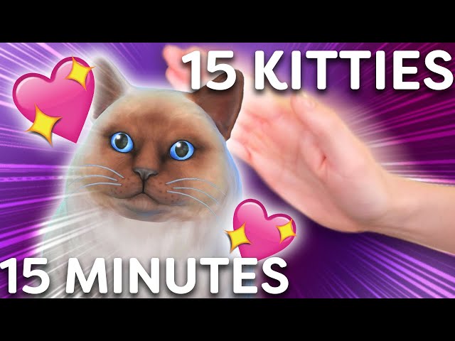 15 KITTIES 15 MINUTES CHALLENGE | Sims 4