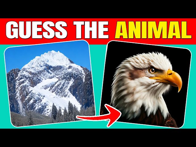 Guess the Hidden Animals by ILLUSIONS 🐯🦅🦌| Easy, Medium, Hard levels | Quizzer Odin
