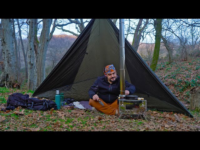 Camping Like a Fairytale in the Deserted Forest Butterflies, Birds and Camping Food on the Stove