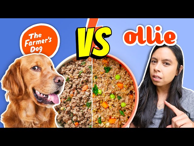 Brutally Honest Dog Food Review 👉 Farmer’s Dog vs Ollie!