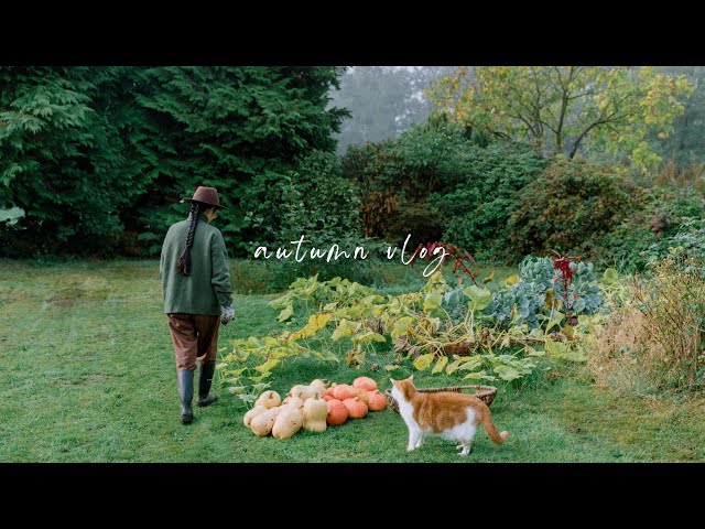 #83 Memories of Autumn | October Daily Vlog | Countryside Slow Life