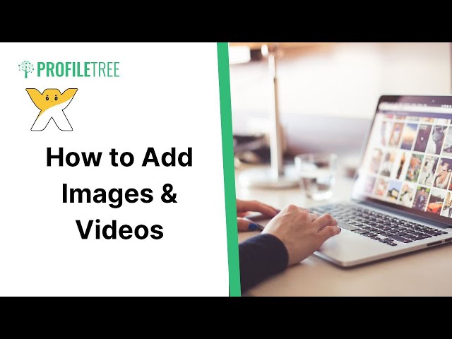 Adding Images and Videos To Your Wix Website | How to Build a Wix Website | Wix Tutorial | Wix