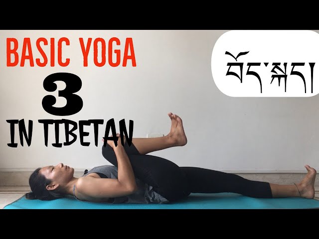 Basic yoga lesson 3 སློབ་ཁྲིད་གསུམ་པ lying asana