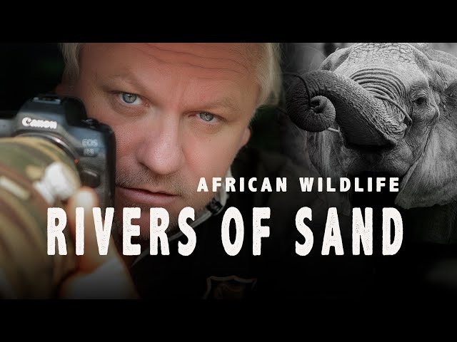 RIVERS OF SAND | AFRICAN WILDLIFE PHOTOGRAPHY