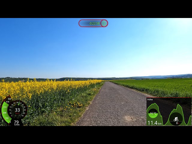 30 minute Sunshine Virtual Fat Burning Indoor Cycling Workout 🚵‍♀️🌞 Garmin 4K Video