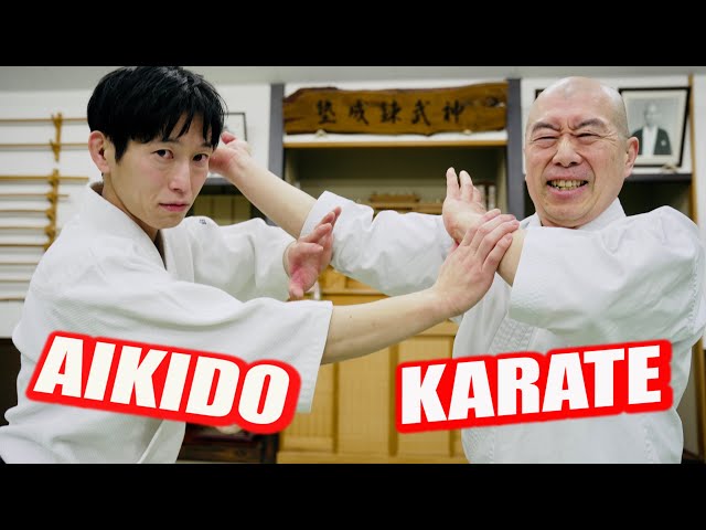 No punches or kicks hit him! This is the realistic fighting style of Aikido.