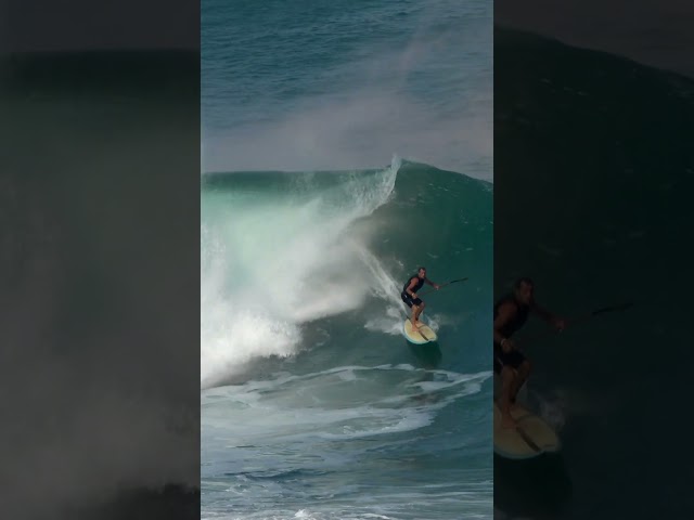 Surfing a MASSIVE Wave on a SUP: Watch What Happens Next! #shorts