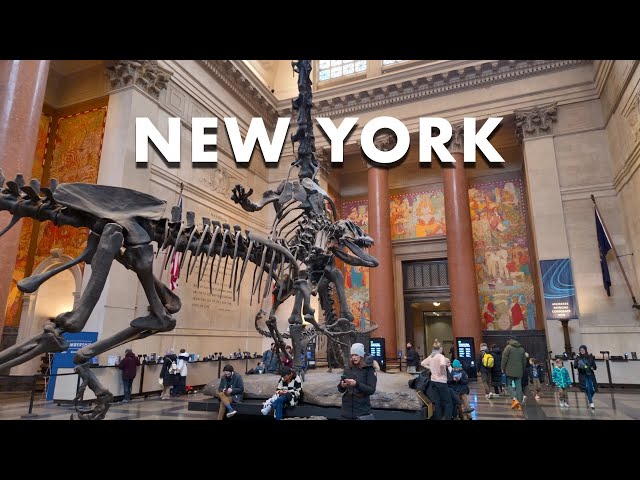 Visiting the American Museum of Natural History in New York City