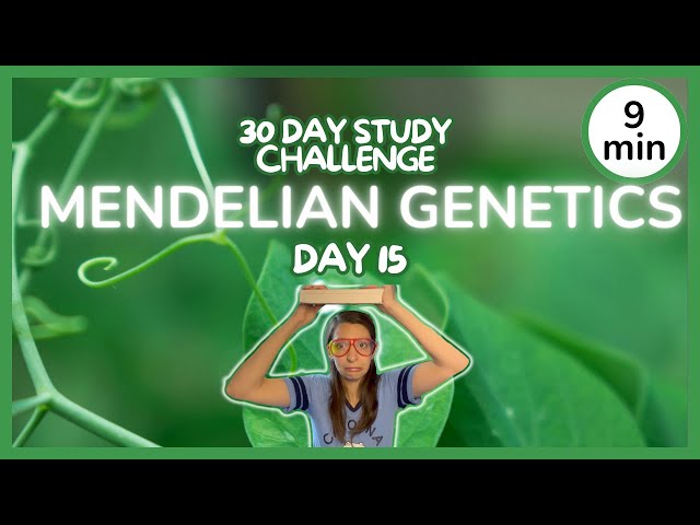 Day 15: Mendelian Genetics (Basic) - 30 Day Biology Study Challenge 2024