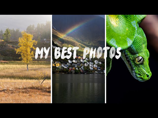 Why These Are My Best 2021 Landscape and Wildlife Photos
