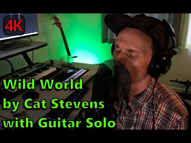 Wild World by Cat Stevens (Cover) + Guitar Solo