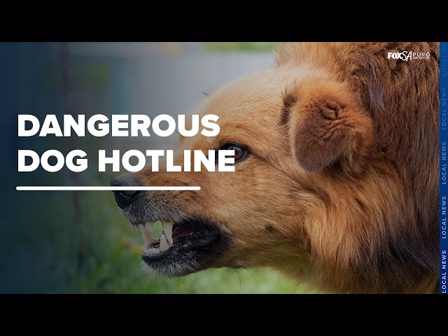 New Hotline for Dangerous Dog Reports
