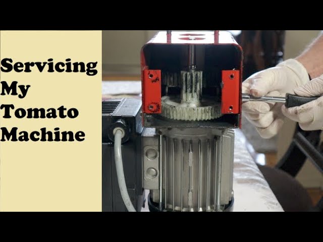 Servicing My Tomato Machine