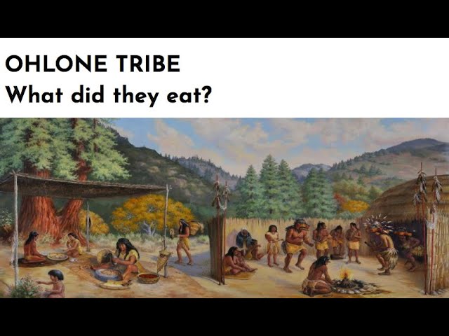 Ohlone Tribe: What did they eat?