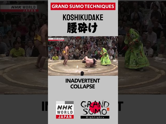 #Sumo Technique: KOSHIKUDAKE
