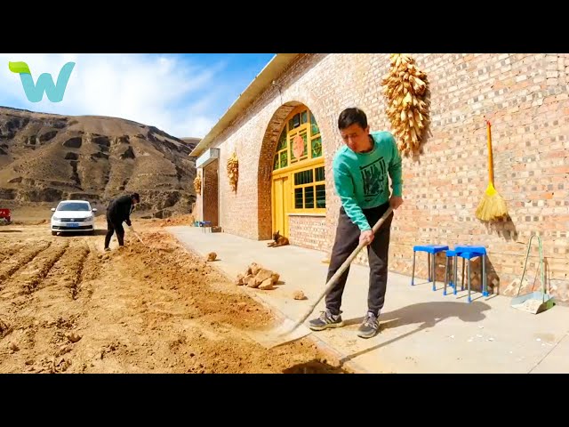 Building unique houses in caves.  Buying a donkey to help the owner with farming Part3 | WU Vlog