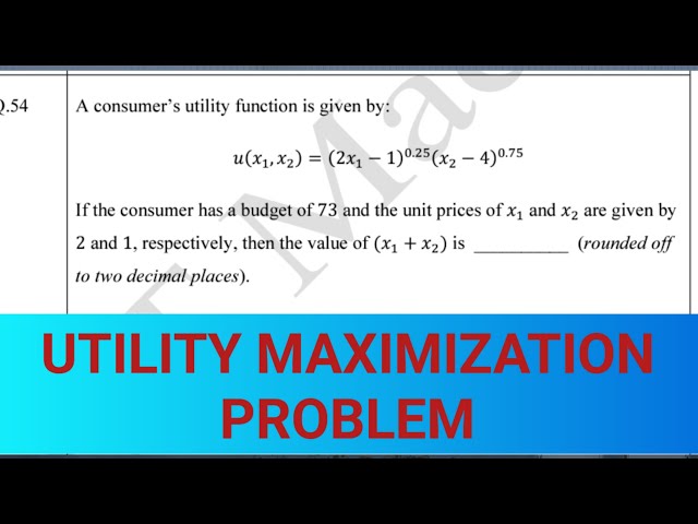 utility function and optimisation