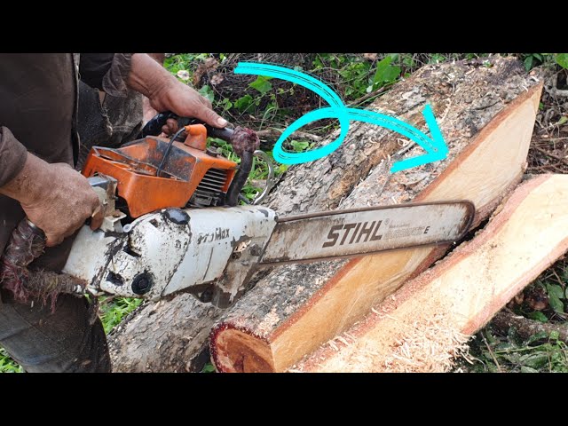 Wood Cutting Machine Sawing Process Skills With Chainsaw STIHL MS070
