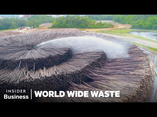 How The World's Largest Paper Company Makes 1/3 of Cardboard Boxes In America | World Wide Waste
