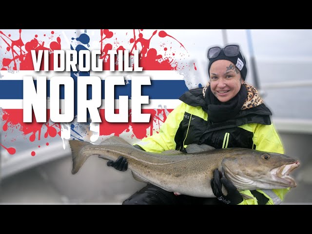 Doris Fångar ETT MONSTER - Havsfiske i Norge