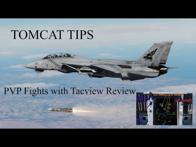 Shiny's DCS Tomcat Tips: Big Fighter vs Viper - PVP Fights and Debrief