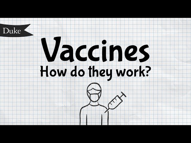 How Do Vaccines Work? | Quick Learner