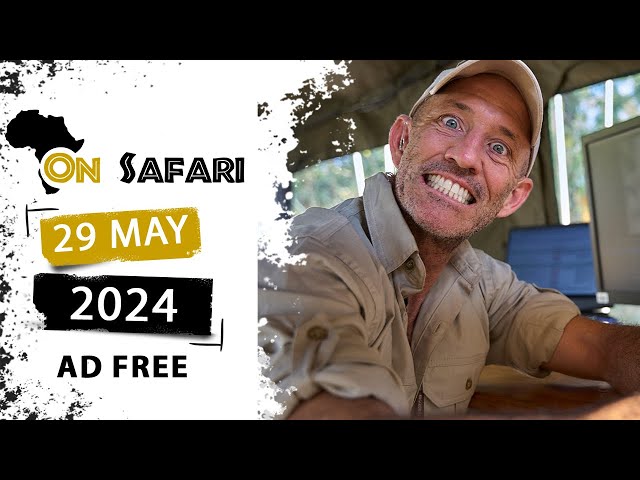 On Safari - 29 May 2024 - AD FREE
