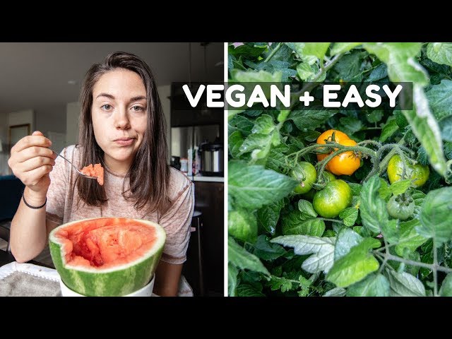 What I Ate Today + Garden Update!