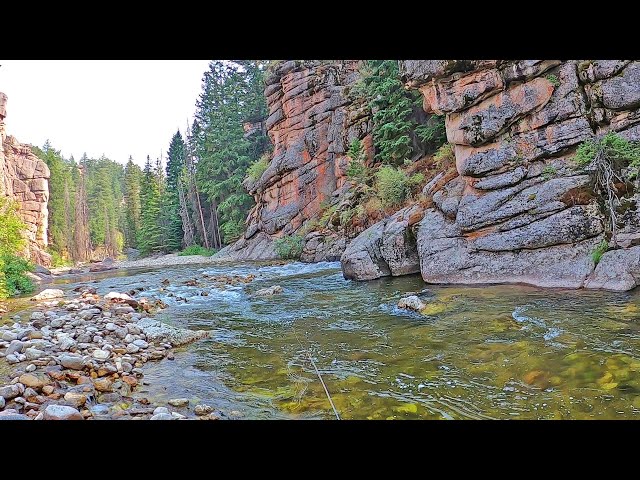 Fly Fishing Wyoming - Audible to Plan B and find a Grand Slam (pt5)
