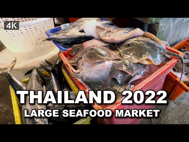 【🇹🇭 4K】Real Life Scenes in Large Seafood Market Thailand