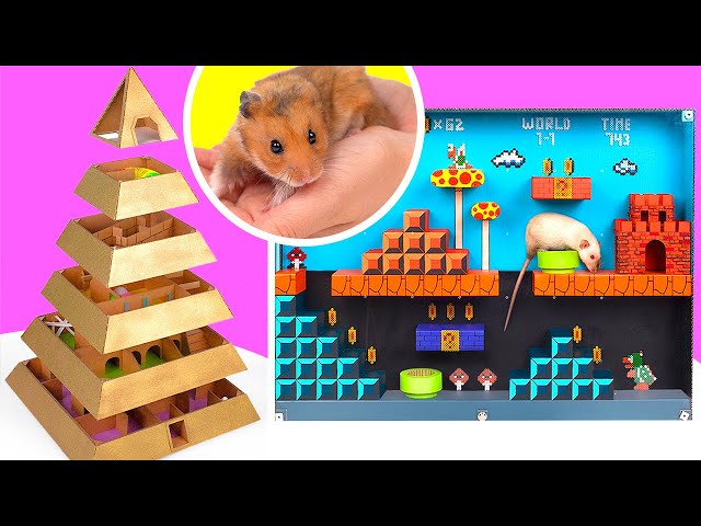 2 DIY Mazes For Hamsters And Rats