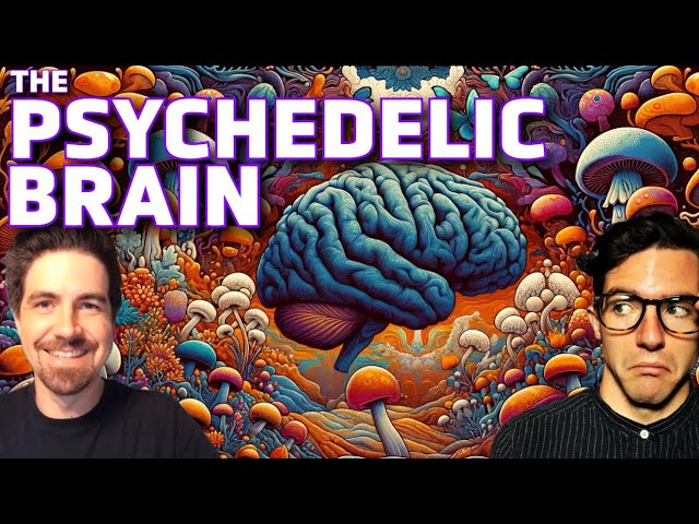 Revealing the Mind: The Neuroscience of Psychedelics (The Social Brain ep 36)