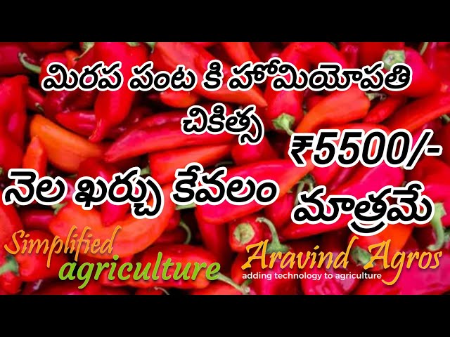 Simplified Agriculture - మిరప కి హోమియోపతి మందుల కిట్ (Homeopathy kit for chilli crop)