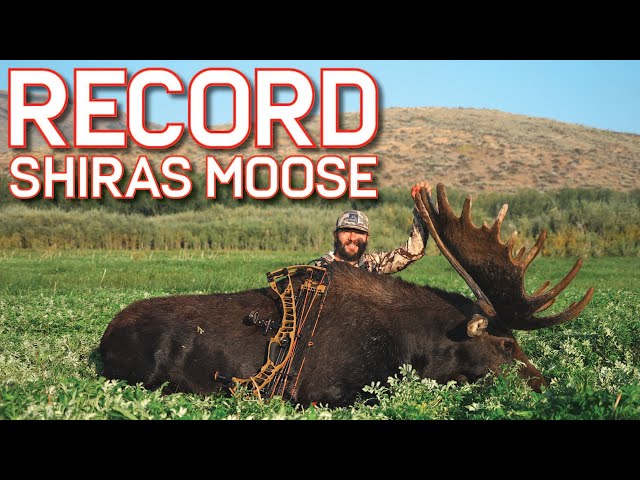 ONCE IN A LIFETIME Idaho ARCHERY MOOSE