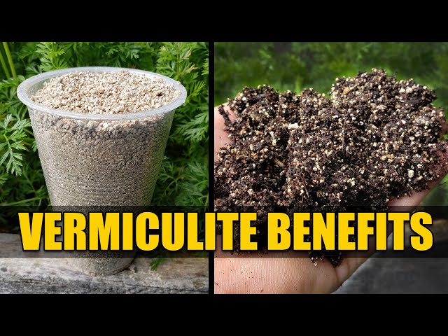 Benefits of Vermiculite - Garden Quickie Episode 48