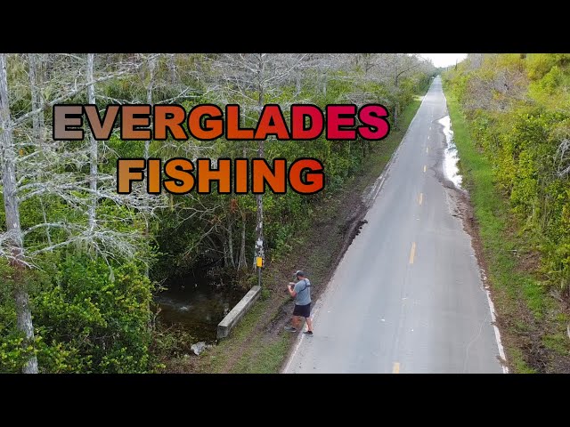 Exploring Back Roads in the EVERGLADES