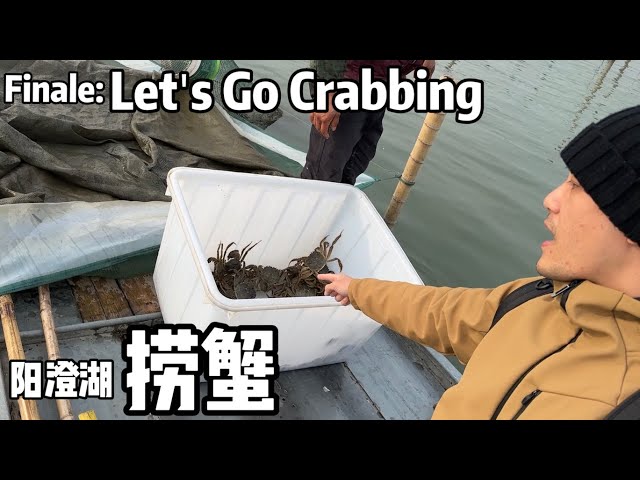 A Year in Life of Chinese Mitten Crab Farmers: Day 348, Finale - Crabbing