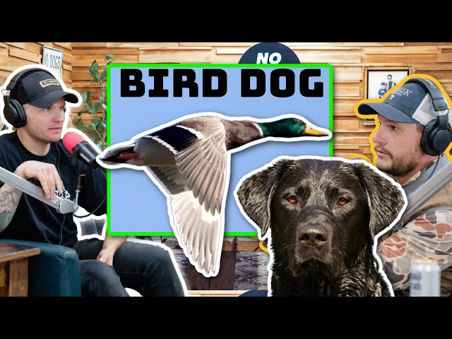 The life of a hunting dog trainer with Bob Owens- No Bad Dogs Podcast