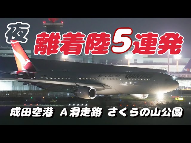 【4K】成田空港 さくらの山公園 夜の空港に離着陸する飛行機５連発