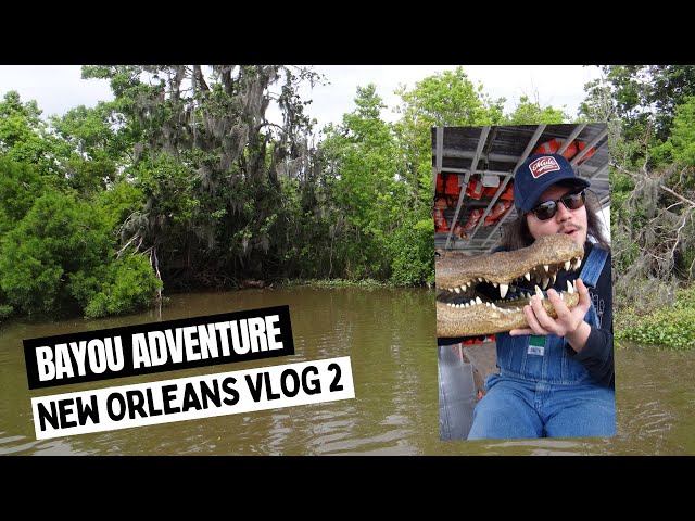 New Orleans Adventure 2023 - Music, Food, Swamps, & Epiphanies Beyond Blues