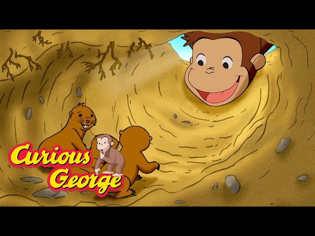 Saving the Gophers 🐵 Curious George 🐵 Kids Cartoon 🐵 Kids Movies 🐵 Videos for Kids
