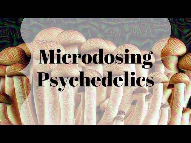 My experience microdosing psychedelics | differences between LSD and Psilocybin