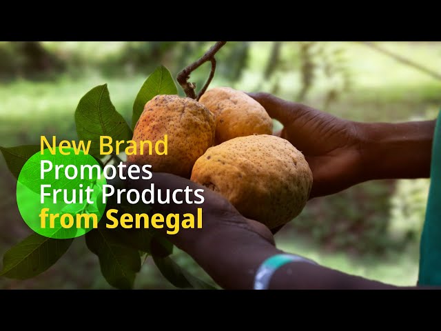 A Branded Fruit Boosts Economic and Community Development in Senegal